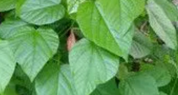 Screenshot_2025-11-02-16-44-12-56_680d03679600f7af0b4c700c6b270fe7